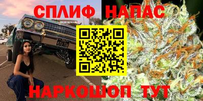 гашик Гай