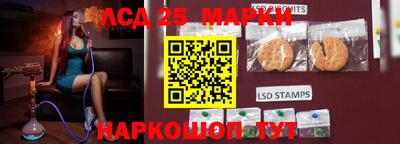 гашик Гай
