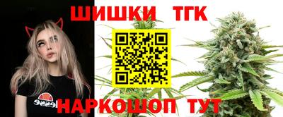 jwh Гатчина