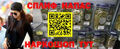 гашик Гай