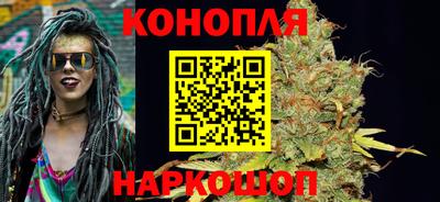 jwh Гатчина
