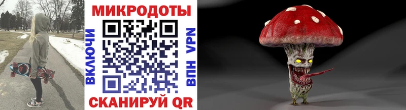 Псилоцибиновые грибы Psilocybe Санкт-Петербург