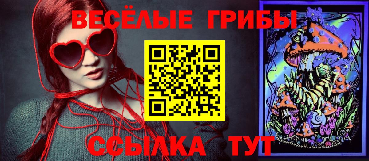 Псилоцибиновые грибы Magic Shrooms  Вход с VPN  Санкт-Петербург  Галлюциногенные грибы Cubensis 