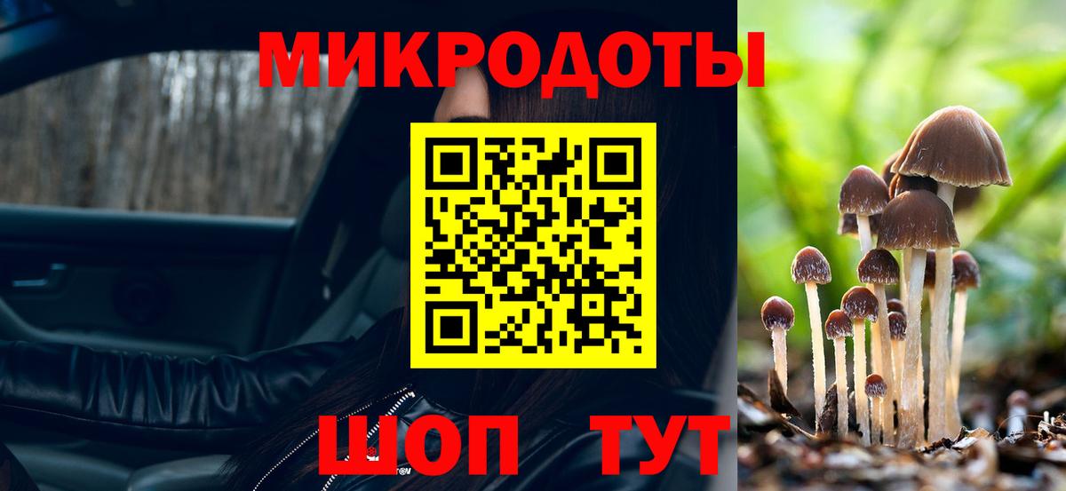 Галлюциногенные грибы Psilocybe Санкт-Петербург